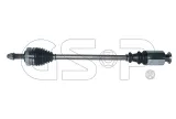 polos-250320-gsp