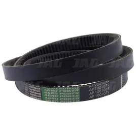 pas-klinowy-wariatorowy-optibelt-agro-power-ap1001079
