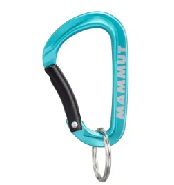 karabinek-mammut-mini-carabiner-classic-keylock-s