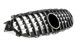 grill-mercedes-w213-20-panamericana-gt-amg-b-c