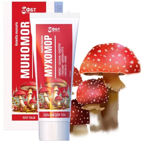 Maść z Muchomora czerwonego na stawy kolanowe bóle mięśni stawów zapalenie