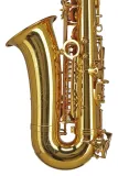 saksofon-altowy-gewa-as501-kod-producenta-gewgwas501-marka-gewa