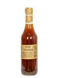 syrop-z-pigwowca-nadwarcianskie-specjaly-490-ml
