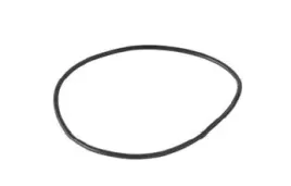 oring-uszczelniajacy-korpus-sprezarek-sanden-or-250095