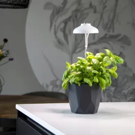 lampa-led-do-wzrostu-uprawy-roslin-regulowana-lampa-esschert-design