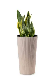 doniczka-oslonka-do-salonu-kwietnik-donica-domowa-duza-46cm-wklad-prazki