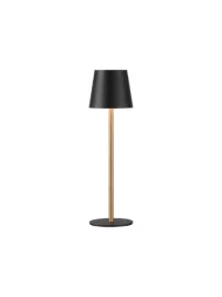 lampa-stolowa-led-just-light-czarna-mosiezna-usb-dotykowa-ip54-euria