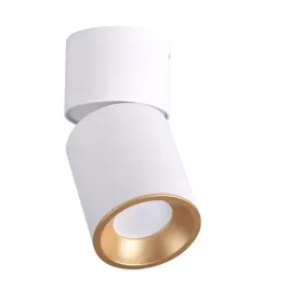 lampa-oprawa-sufitowa-regulowana-punktowa-biala-zlota-tuba-17-cm-polux