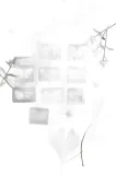 magnesy-motyle