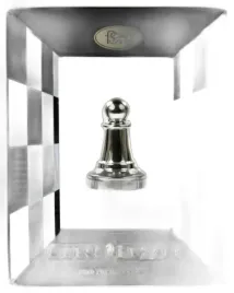 lamiglowka-cast-pawn-pion-szachy-silver