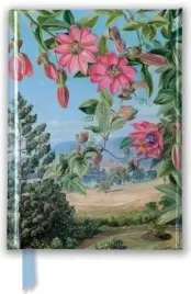 notatnik-a6-linia-tw-widok-w-ogrodzie-brisbane-kew