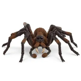 aragog-slh13987