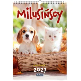 kalendarz-wieloplanszowy-2027-scienny-29-x42-cm-na-spirali-duzy-a3-koty-psy