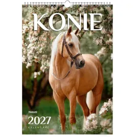 kalendarz-wieloplanszowy-2027-scienny-29-x-42-cm-na-spirali-duzy-a3-konie