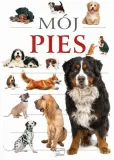 moj-pies-stan-nowy