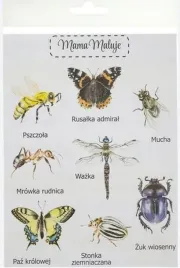 naklejki-duze-owady-1