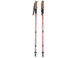 kijki-do-chodzenia-nordic-walking-2szt-kije-trekkingowe-korkowe-zestaw
