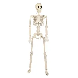szkielet-czlowieka-szkieletor-kosciotrup-czaszka-dekoracja-halloween-93cm
