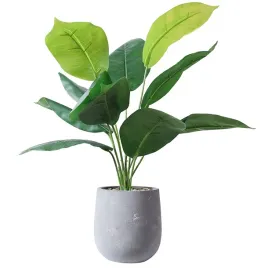 sztuczna-roslina-w-doniczce-realistyczna-45cm-skrzydlokwiat-do-domu-biura