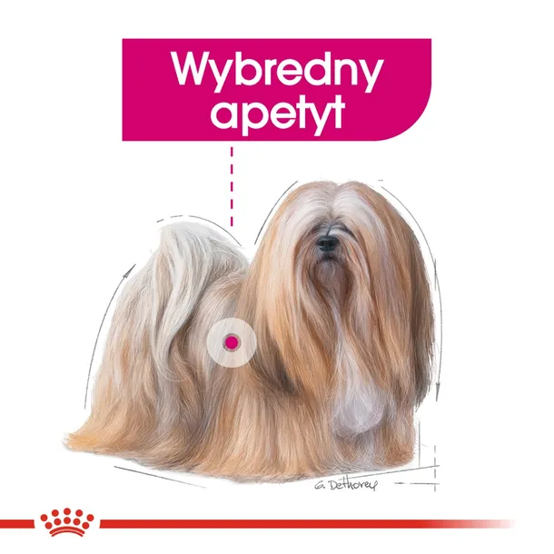 royal-canin-ccn-mini-exigent-3kg-karmy-specjalne-dla-psow-z-nadwrazliwoscia-pokarmowa