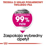 royal-canin-ccn-mini-exigent-3kg-rodzaj-karmy-wysokobialkowa
