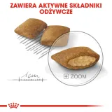 royal-canin-ccn-mini-exigent-3kg-smak-mix-smakow