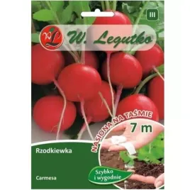 rzodkiewka-carmesa-czerwona-okragla
