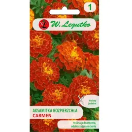aksamitka-rozpierzchla-carmen-mahoniowo-czerwona-1-50g