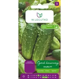 ogorek-korniszonowy-gruntowy-anulka-cucumis-sativus