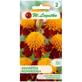 aksamitka-rozpierzchla-orange-flame-pomaranczowo-brazowa-1-g