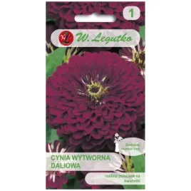 cynia-wytworna-violet-queen