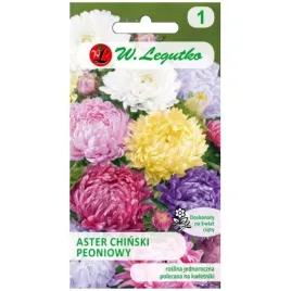 aster-chinski-peoniowy-mieszanka-kolorow
