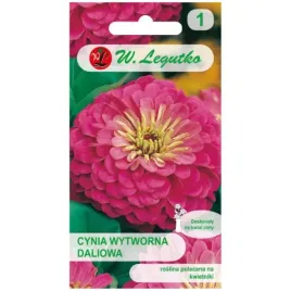 cynia-wytworna-daliowa-illumination-kwiaty-rozow