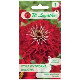cynia-wytworna-daliowa-scarlet-flame-czerwona