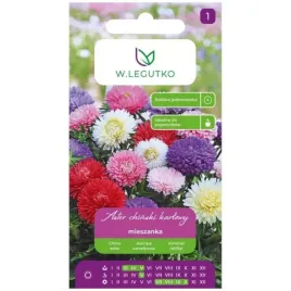 aster-chinski-karlowy-mieszanka-kolorow