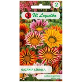 gazania-lsniaca-mieszanka-nasiona-otarte