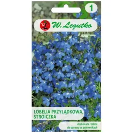 stroiczka-lobelia-przyladkowa-niebieska