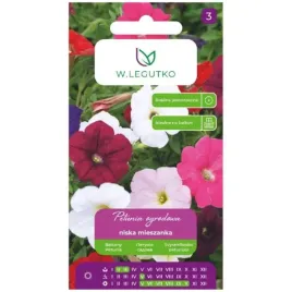 petunia-ogrodowa-niska-mieszanka