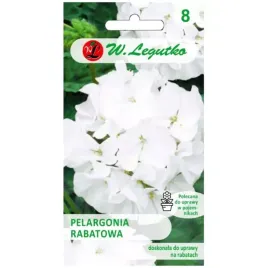 pelargonia-rabatowa-biala-gama-f1