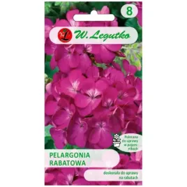 pelargonia-rabatowa-gama-f1-kwiaty-fioletowe