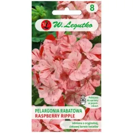 pelargonia-rabatowa-raspberry-ripple-divas-f1-kwiaty-pstre