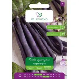 fasola-zwykla-szparagowa-karlowa-fioletowostrakowa-purple-teepee