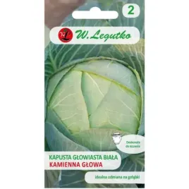 kapusta-glowiasta-biala-kamienna-glowa-odmiana-pozna