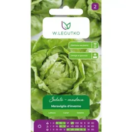 salata-glowiasta-maslowa-meraviglia-d-inverno-zimujaca
