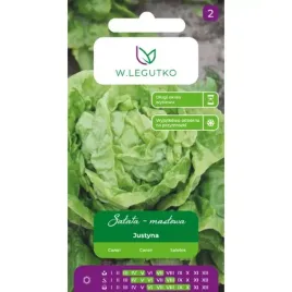 salata-glowiasta-maslowa-justyna-jasnozielona-wczesna