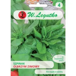 szpinak-olbrzym-zimowy