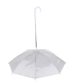 parasolka-parasol-smycz-dla-psa-deszcz