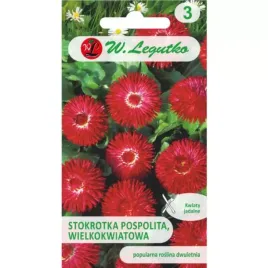 stokrotka-pospolita-wielkokwiatowa-gracja-czerwona