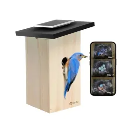 birdfy-house-ebony-budka-legowa-dla-ptakow-z-kamera-1080p-ip66-wifi