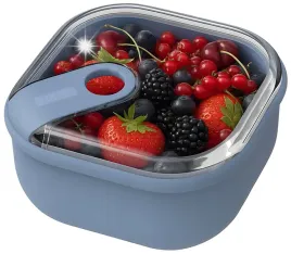 lunchbox-pojemnik-na-zywnosc-do-lodowki-rotho-ela-2-l-szczelny-blekitny
